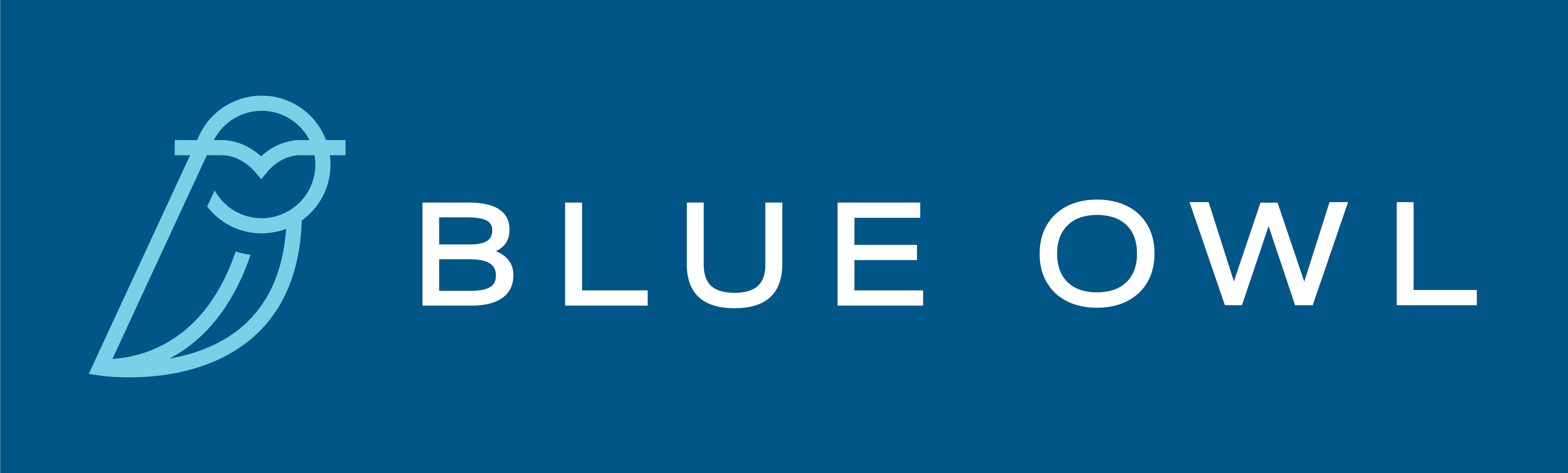 BlueOwlLogo-OnBlue-horizontal.png