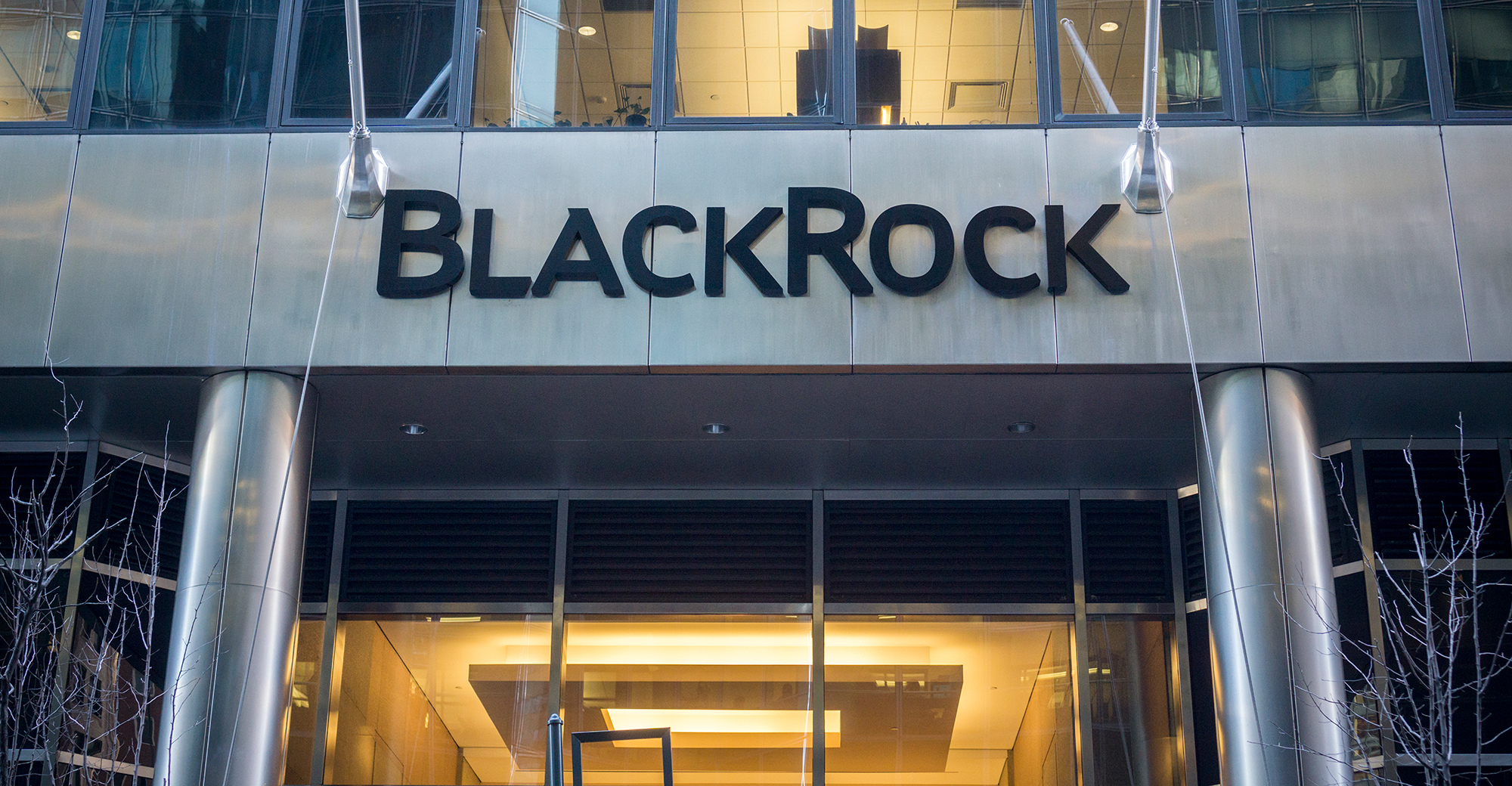 blackrock investment management associate