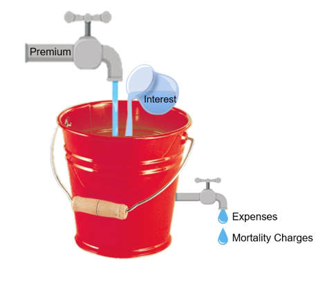 boersma-water-bucket.png