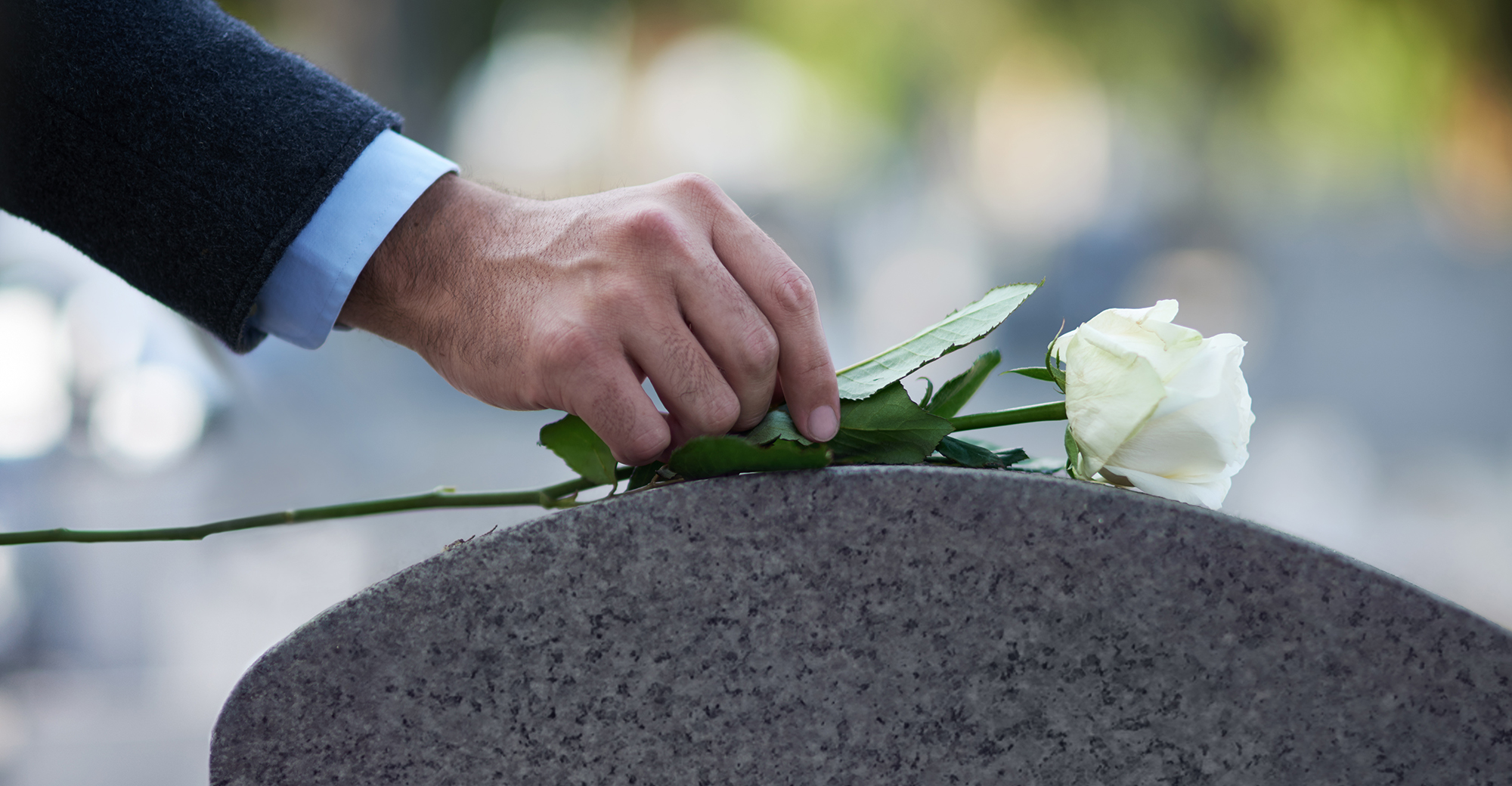 death rose headstone PeopleImages 1