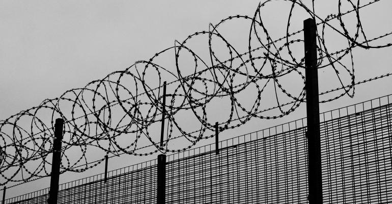 barbed-wire-fence.jpg