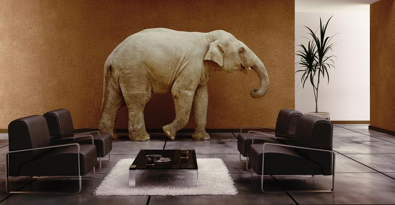 elephant-room-office.jpg