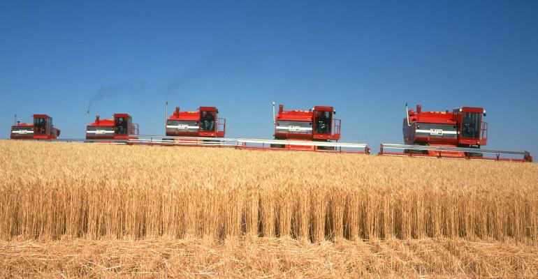 harvesting-wheat.jpg