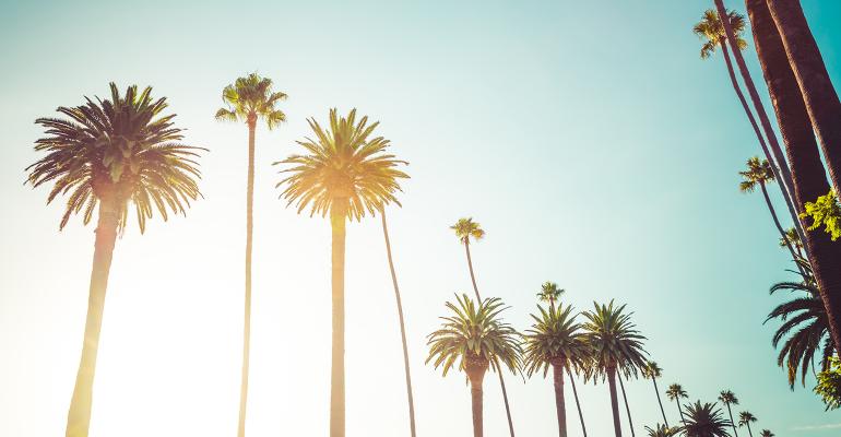 palm-trees-california.jpg