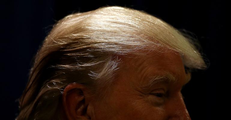 Donald Trump hair