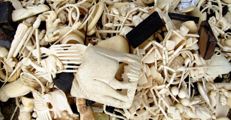 White House Announces a Ban on Commercial Trade of Elephant Ivory