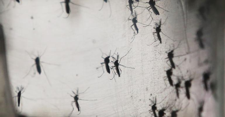 Zika Could Be the Next Investment Scam