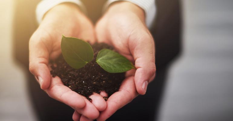 4 Ways to Grow Your Business Organically