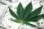 marijuana-leaf-dollars.jpg