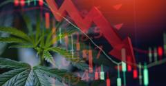 cannabis stock market chart