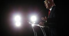Donald Trump spotlight