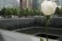 9/11 memorial flower