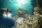 deep sea underwater robot