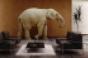 elephant-room-office.jpg