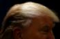 Donald Trump hair