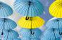blue and yellow umbrellas