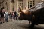 M&amp;A: The Bulls are Back in Town